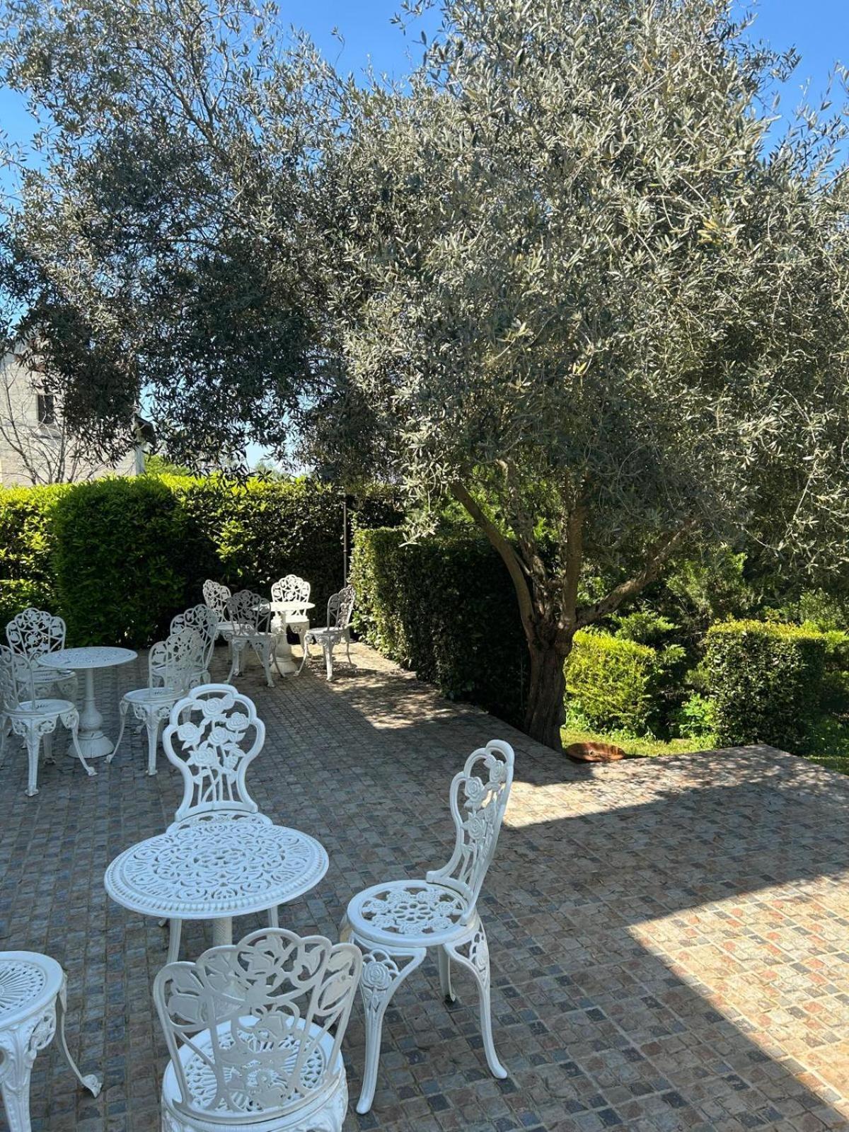 Logis Demeure De La Vignole Ξενοδοχείο Turquant Εξωτερικό φωτογραφία