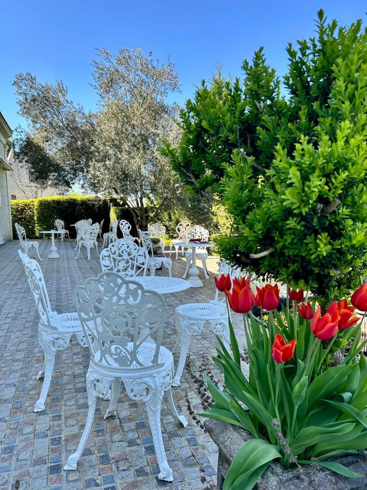 Logis Demeure De La Vignole Ξενοδοχείο Turquant Εξωτερικό φωτογραφία